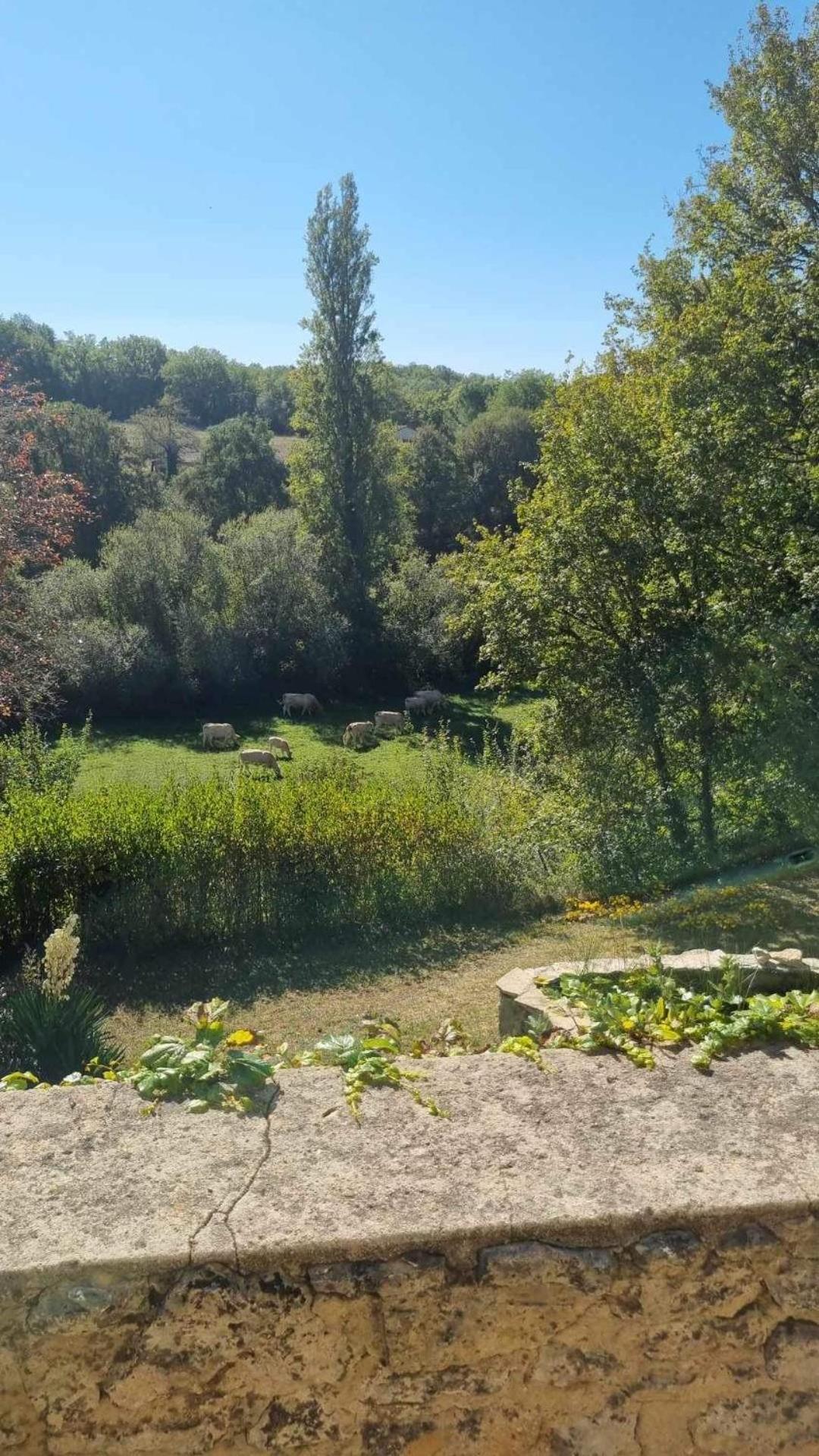 Le Manoir De St Marcel Villa Saint-Marcel-du-Périgord Rum bild